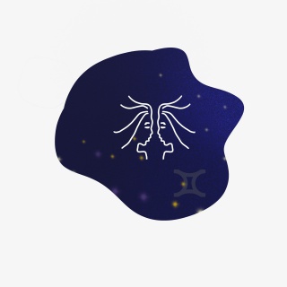 十二星座之双子座标签