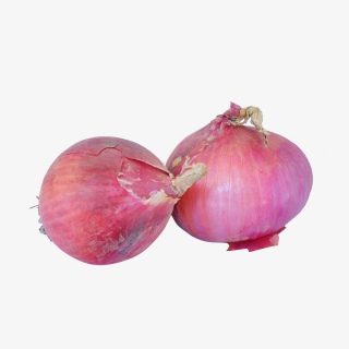 洋葱蔬菜实物摄影拍摄