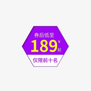 狂欢促销标签元素简约大气元素