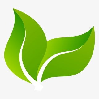 绿色叶子LOGO