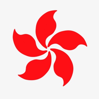 花朵图形