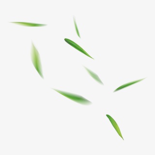 风吹散的落叶漂浮素材免费下载