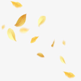 风吹散的落叶漂浮素材