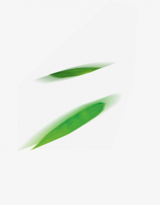 漂浮物粽叶子