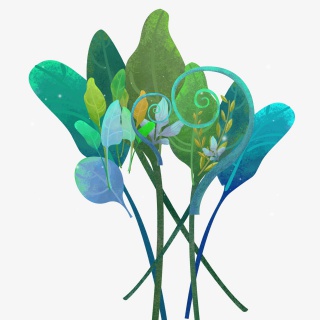 绿色叶子大自然景观