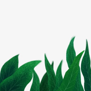 手绘卡通绿色叶子