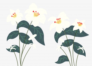 卡通手绘绿色叶子鲜花