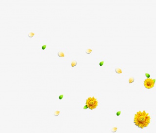 菊花叶子花瓣漂浮元素