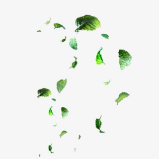 绿色叶子漂浮素材