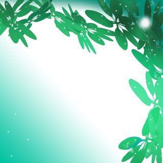 绿色叶子梦幻夏季边框