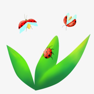 立夏叶子瓢虫手绘节日元素