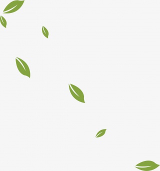 树叶漂浮