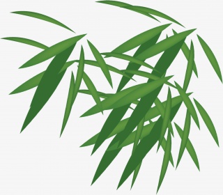 绿色竹叶漂浮