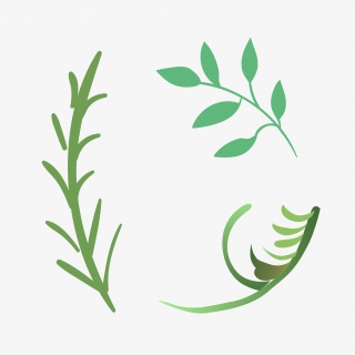 绿色树枝卡通素材