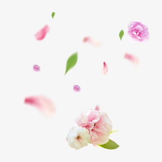 漂浮玫瑰花瓣元素