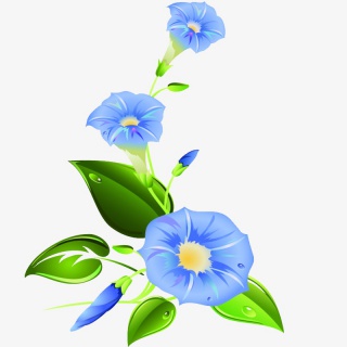 蓝色喇叭花