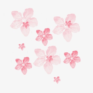 唯美清新樱花花朵元素
