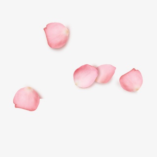 粉色桃花瓣