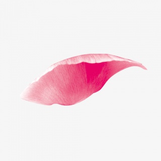 五彩漂浮花瓣