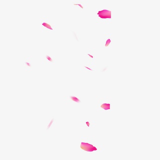 漂浮的花瓣