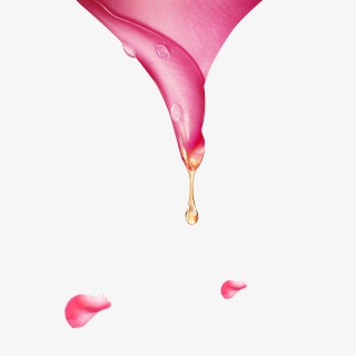 红色花瓣水滴
