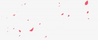 花瓣漂浮素材png