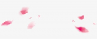 漂浮花瓣素材