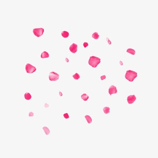 三八女神节玫红色漂浮花瓣PNG