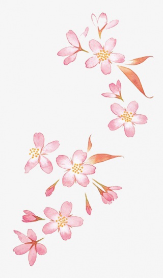 桃花桃花瓣桃花树