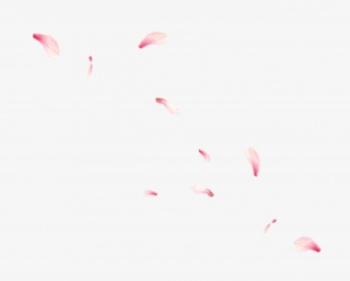 桃花花瓣