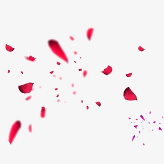 红色花瓣