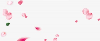 花瓣