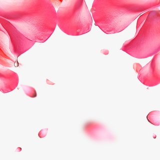 花瓣