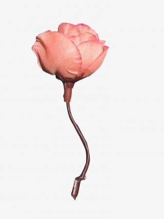 花，花瓣，粉色花，美丽花朵