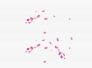 花瓣
