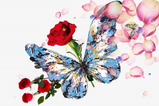 蝴蝶花瓣