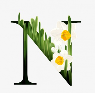 花瓣字母素材