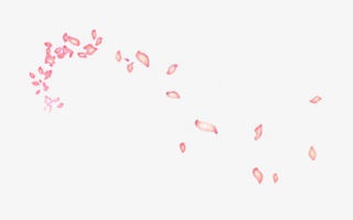 花瓣漂浮元素