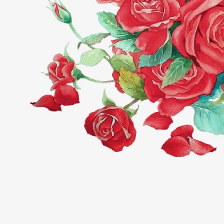 唯美手绘花朵红色花瓣