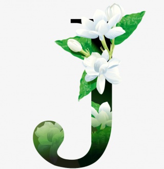 花瓣字母素材