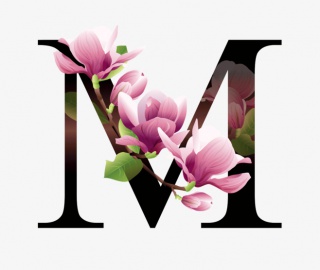 花瓣字母素材