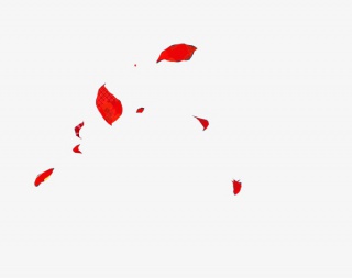 红色漂浮细尖花瓣
