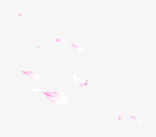 唯美漂浮粉色花瓣