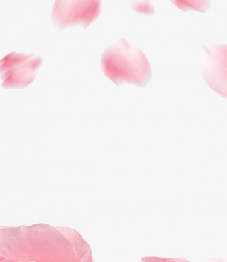 花瓣飞落