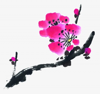 桃花桃花瓣桃花树