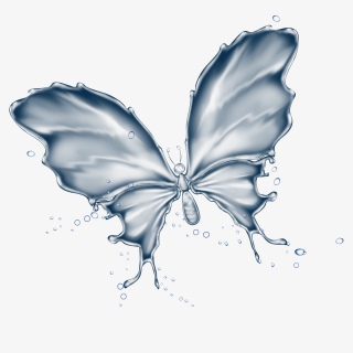 蝴蝶水纹
