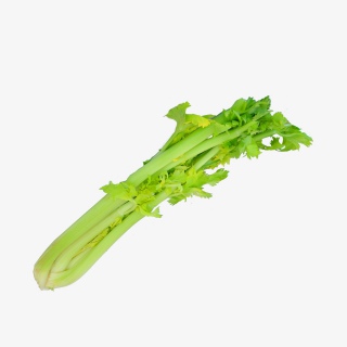 新鲜芹菜实物摄影拍摄
