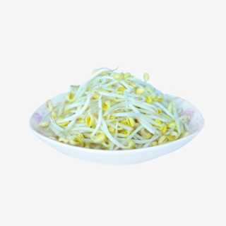 有机蔬菜豆芽实物摄影