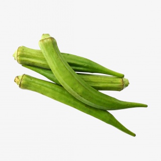 秋葵绿色新鲜素材PNG