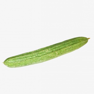 丝瓜蔬菜免抠实物png素材